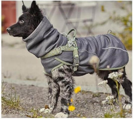 Actual product image Hurtta Razzle-Dazzle blackberry Gr.45 (M, Dog coat)
