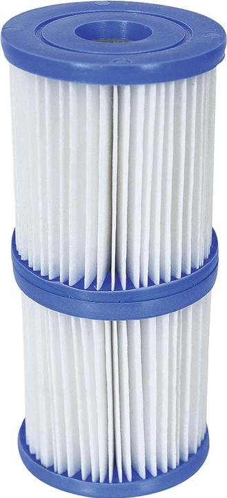 Actual product image Bestway filter cartridge