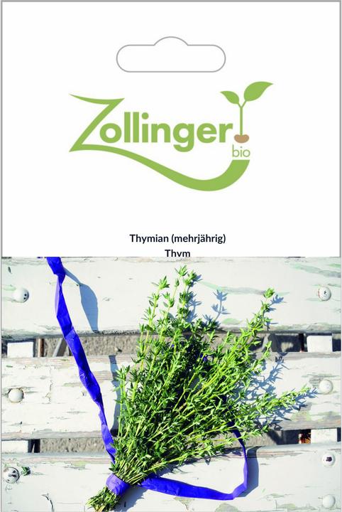 Zollinger Bio Timo (perenne)