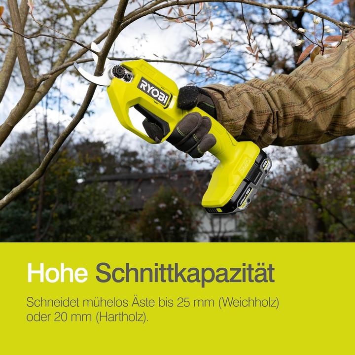 Image du produit Ryobi Secateurs