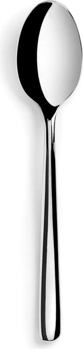 Revol Courchevel cuillère à dessert acier inoxydable brillant
