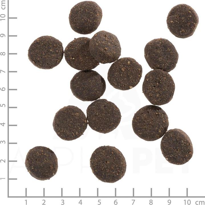 Immagine prodotto Wolfsblut Blue Mountain Adulto (Adulto, 1 pz., 2000 g)