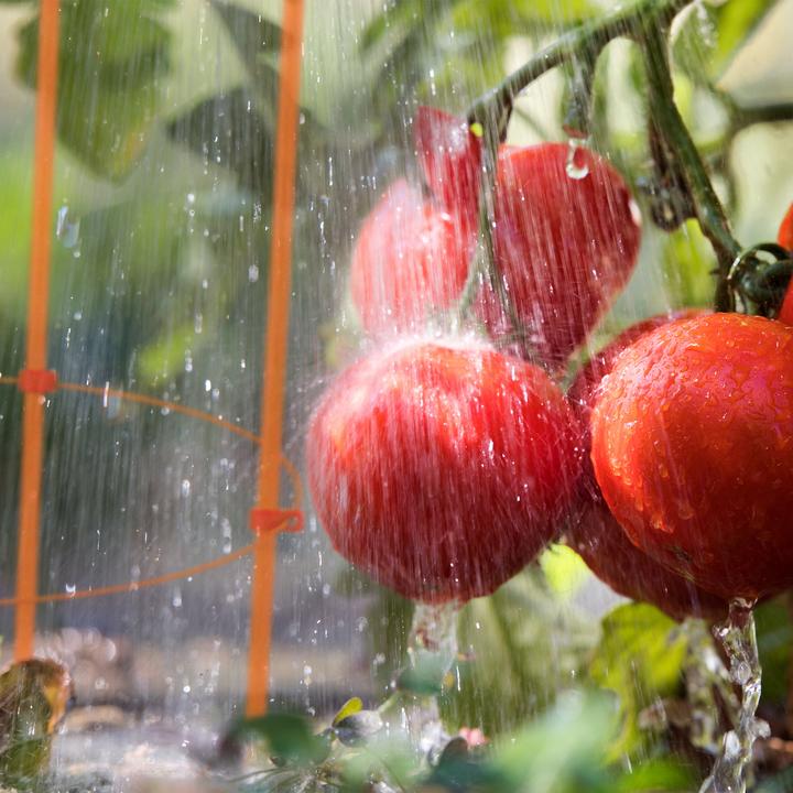 Produktbild Relaxdays 6x Rankhilfe (28 cm, 28 cm)