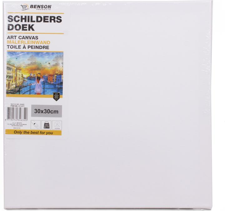 Produktbild Benson Maler-Leinwand 30x30cm