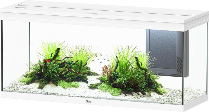 Aquatlantis Aquarium Volga 240, weiss (240 l)