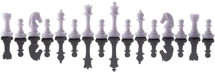 Image du produit Millennium École d'échecs de Karpov