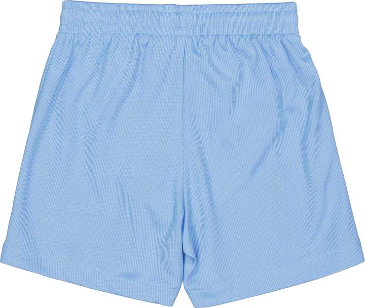 Actual product image Puma Boys Performance Shorts (140)