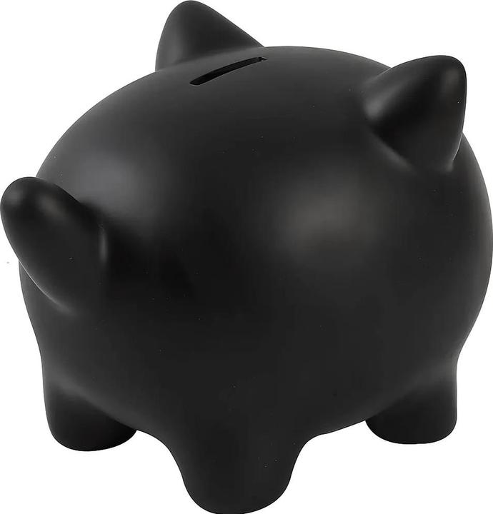 Actual product image Total Juggling Piggy Bank