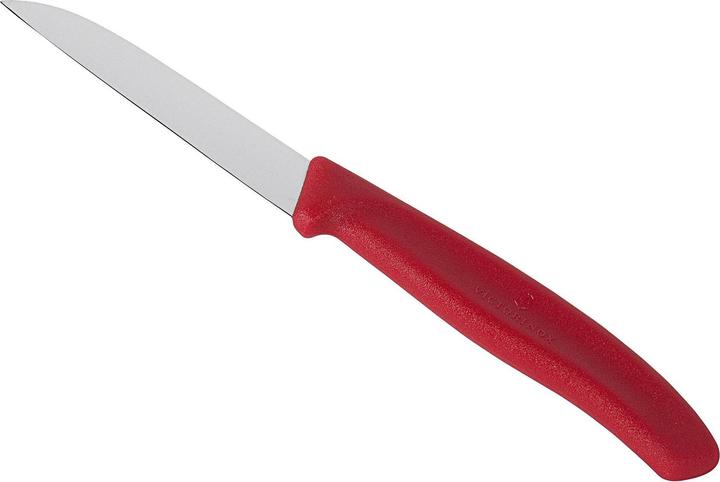 Actual product image Victorinox Swiss Classic (8 cm)