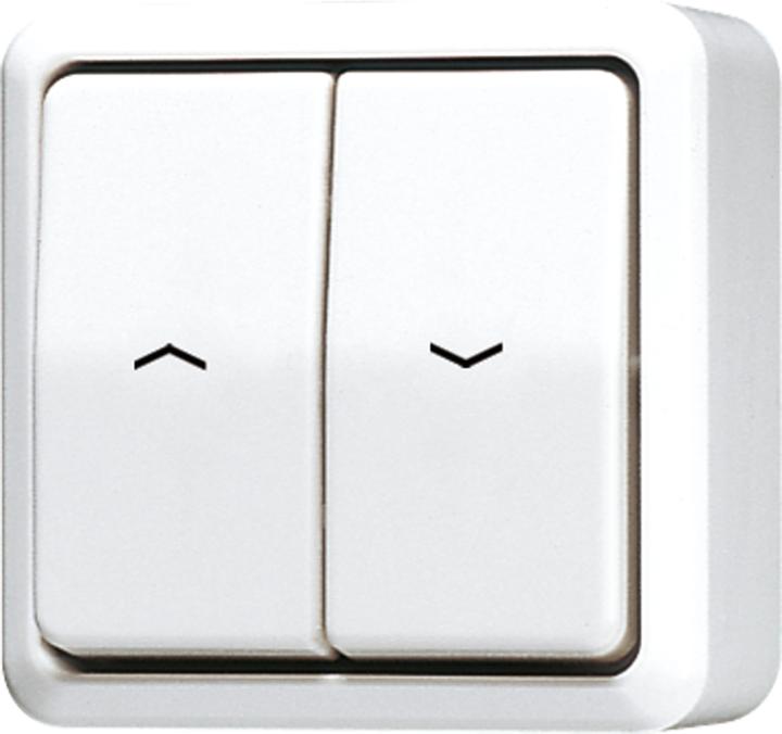 Actual product image JUNG Rocker switch for blinds
