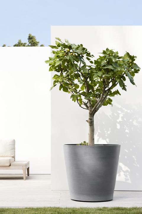 Produktbild Ecopots Amsterdam (80 cm)