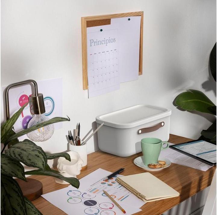 Immagine prodotto Rotho Maloja (39,5 x 26,5 x 18 cm, 12 l)