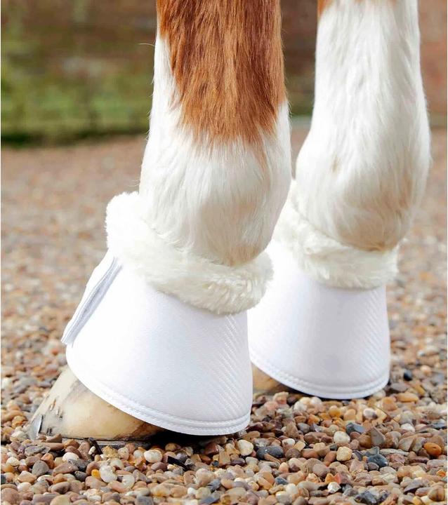 Image du produit Premier Equine Carbon Tech Techno Wool Over Reach (M)