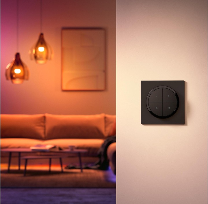 Actual product image Philips Hue Tap dial switch