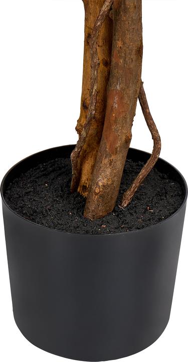 Produktbild Beliani Wisteria Tree (150 cm)