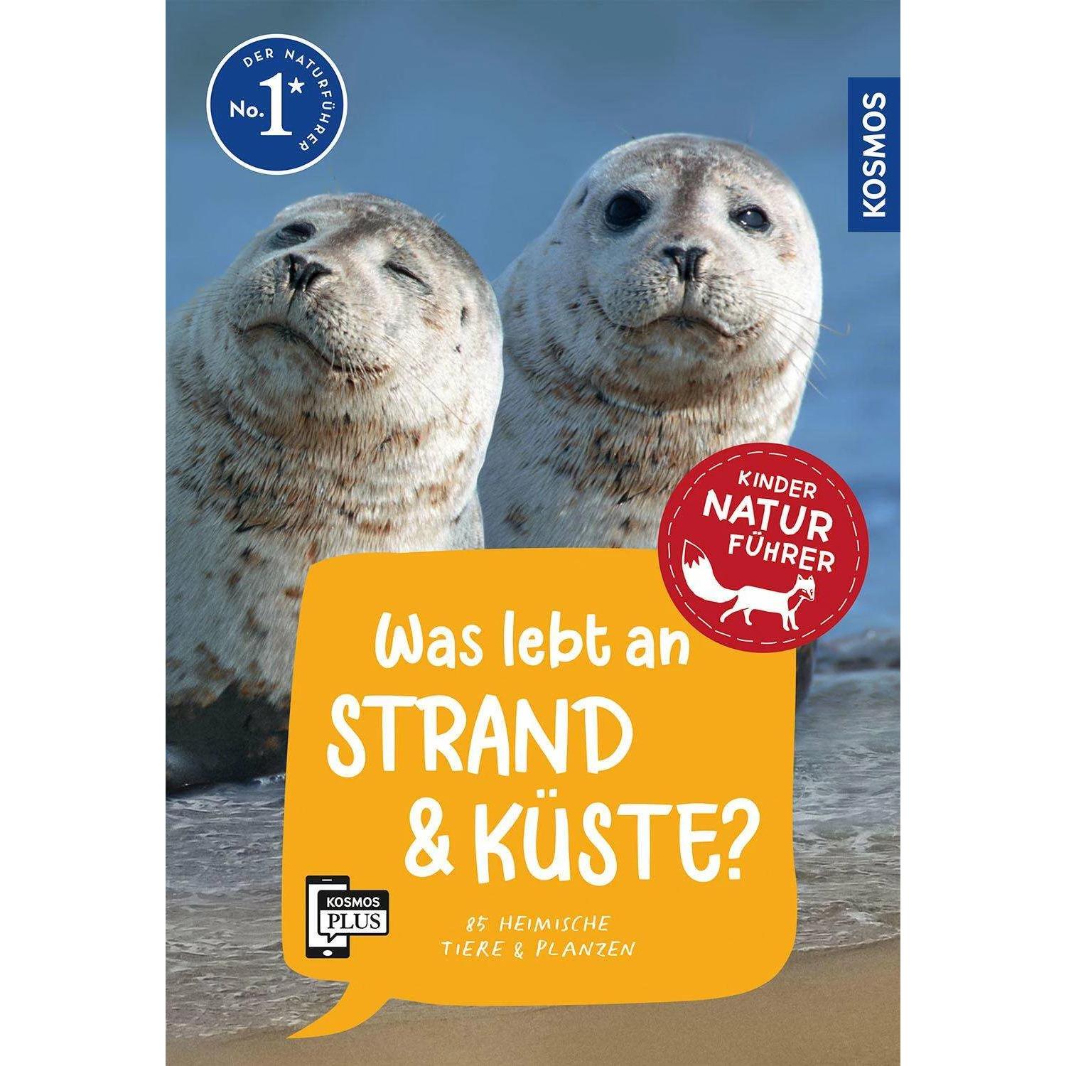 Was lebt an Strand und Küste? Kindernaturführer, Kinderbücher von Holger Haag