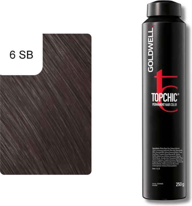 Image du produit Goldwell Topchic (6-SB brun argenté)