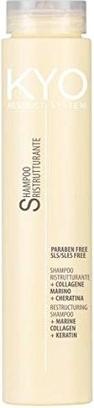Freelimix Kyo Shampoo Ristrutturante - Reconstructive Shampoo (250 ml, Flüssiges Shampoo)