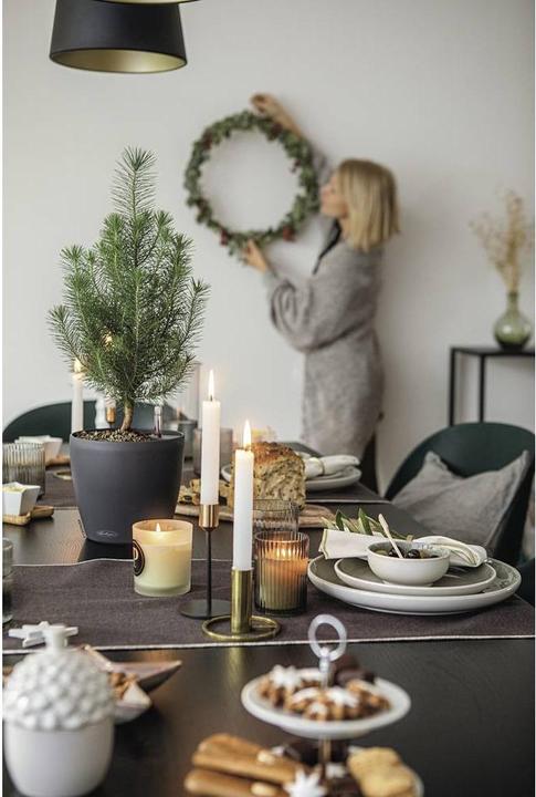 Image du produit Lechuza Classico (28.50 x 26 cm)