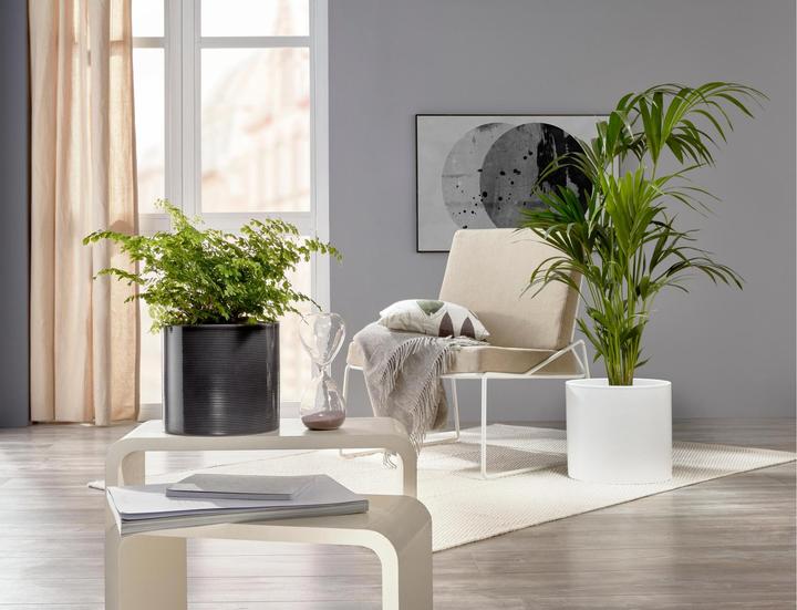 Immagine prodotto Scheurich Grigio vetro (16 cm)