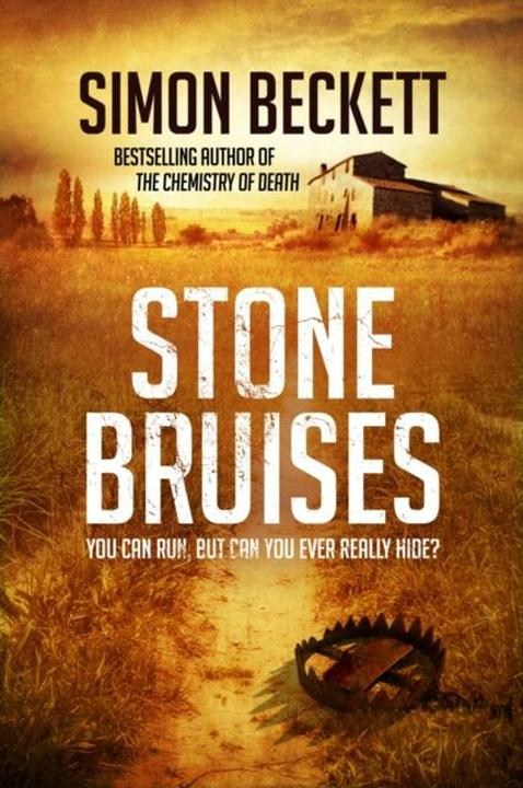 Produktbild Stone Bruises (Englisch, Simon Beckett, 2014)