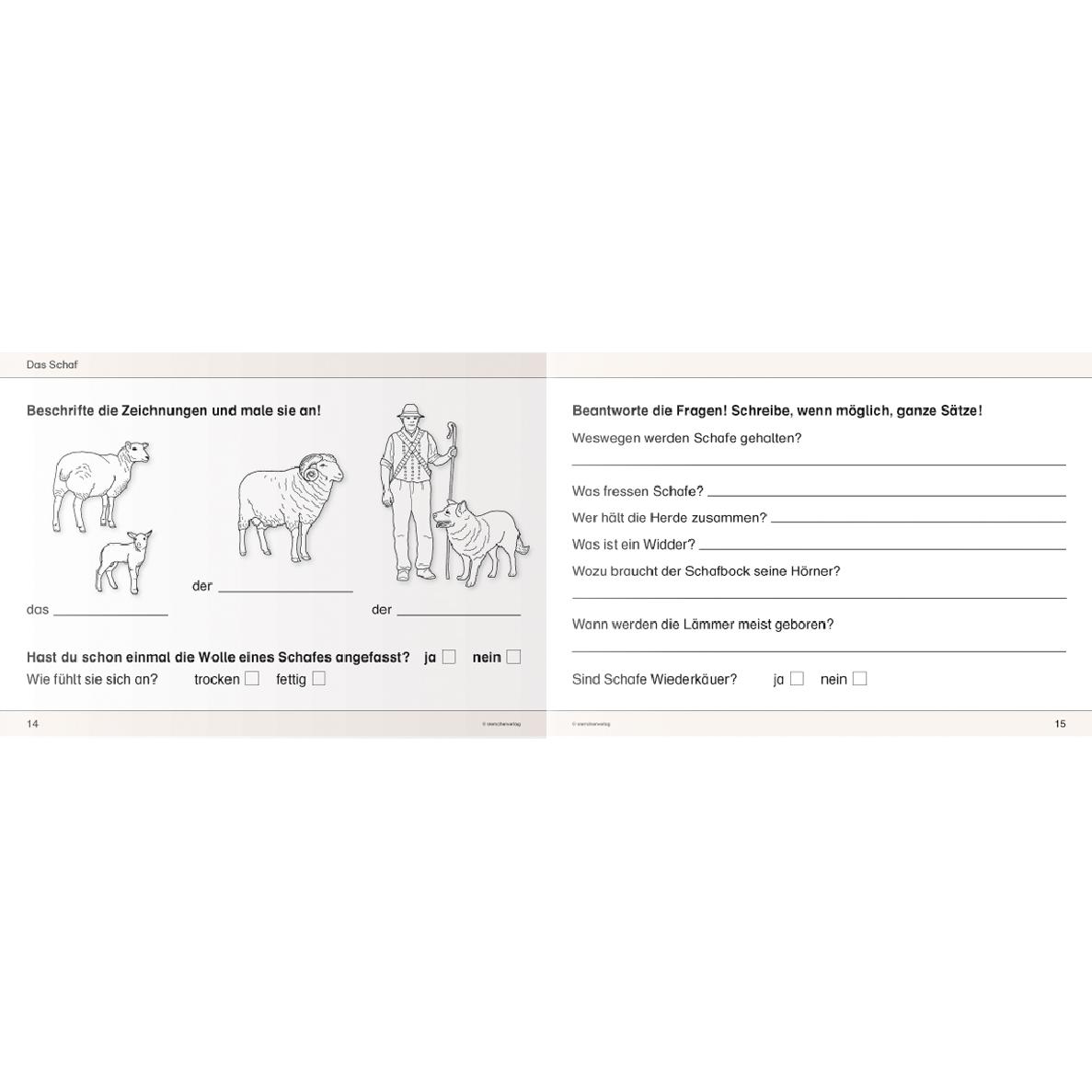 Thumbnail - Ich kenne Haus- und Hoftiere - Schülerarbeitsheft für die 2. bis 4. Klasse, Schulbücher von Katrin Langhans