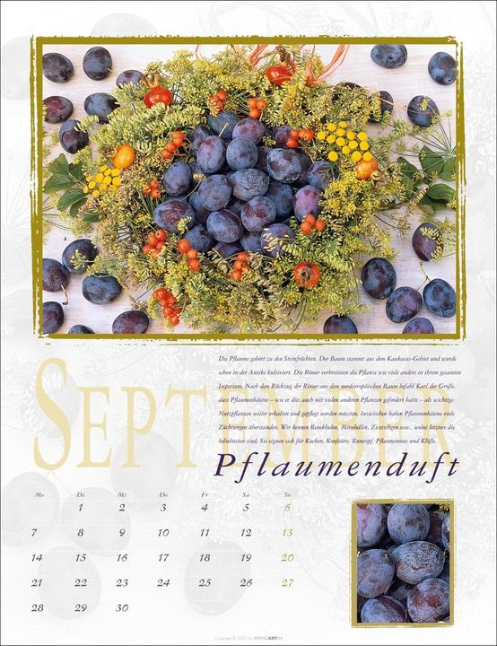 Actual product image Duftkalender 2026