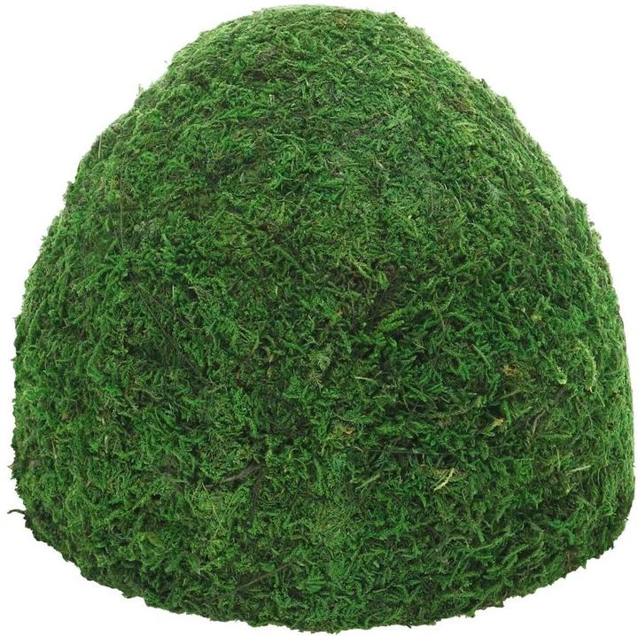 Image du produit Hobby Grotte Jungle Cave 3, 23 x 23 x 18 cm