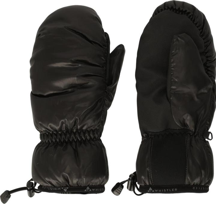 Immagine prodotto Whistler Walkom V2 (10)