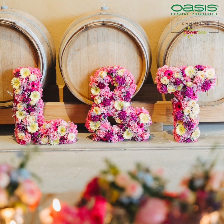Immagine prodotto Oasis BIOLINE Lettera R