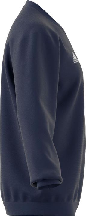 Actual product image adidas Entrada 22 sweatshirt men (S)