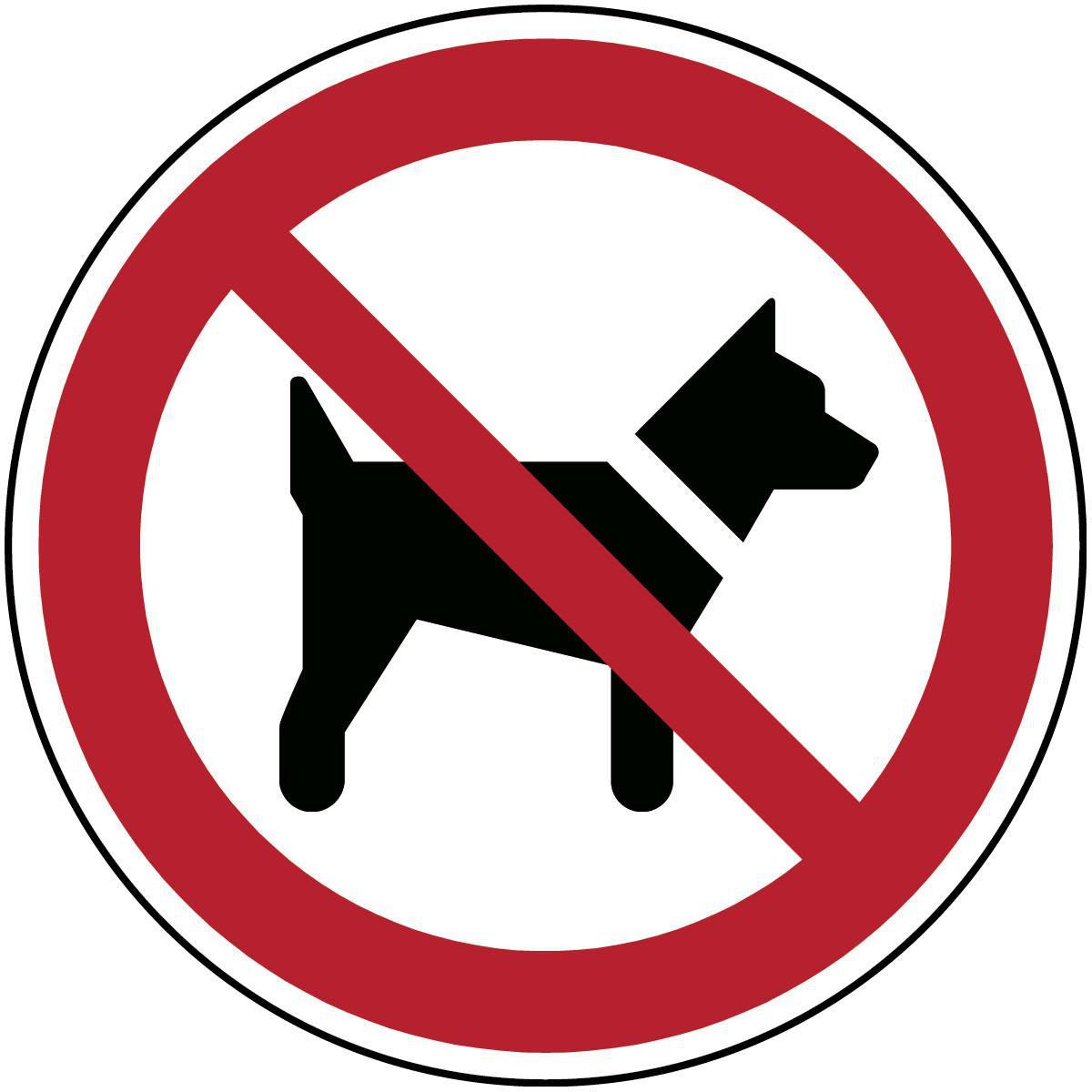 Brady, Sicherheitskennzeichnung, ISO-Sicherheitsschild - Mitführen von Hunden verboten
