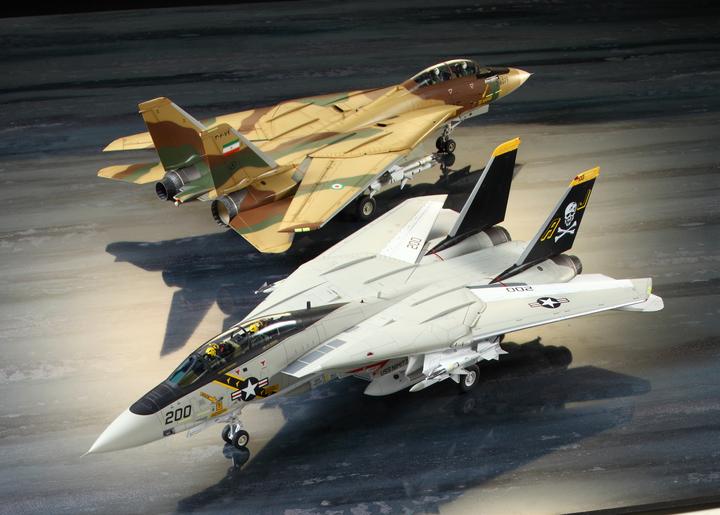 Actual product image Tamiya Grumman F-14A Tomcat