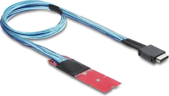 Delock M.2 Key M zu 1 x OCuLink SFF-8611 Konverter mit 45 cm