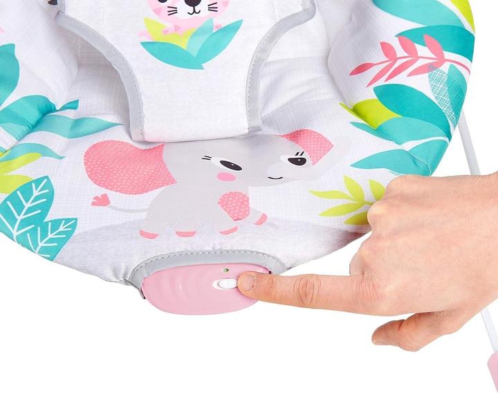 Actual product image Bright Starts Flamingo Vibe