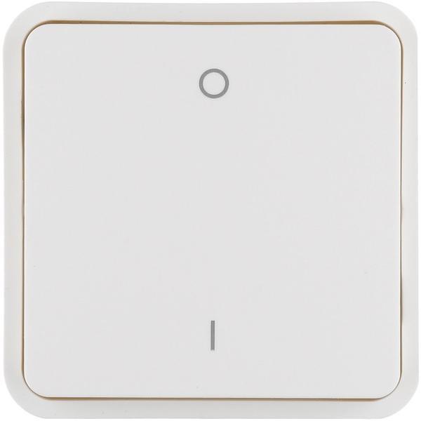 Actual product image Berker 30423542