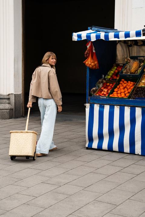 Immagine prodotto reisenthel Carrycruiser