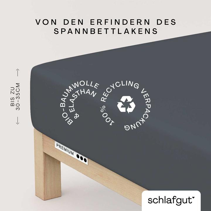 Produktbild schlafgut Premium (120 x 200 - 130 x 220 cm)