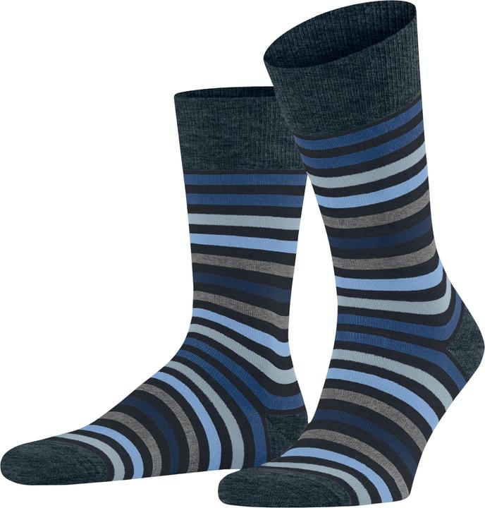 Actual product image Falke Tinted Stripe SO (Single pack, 47 - 50)