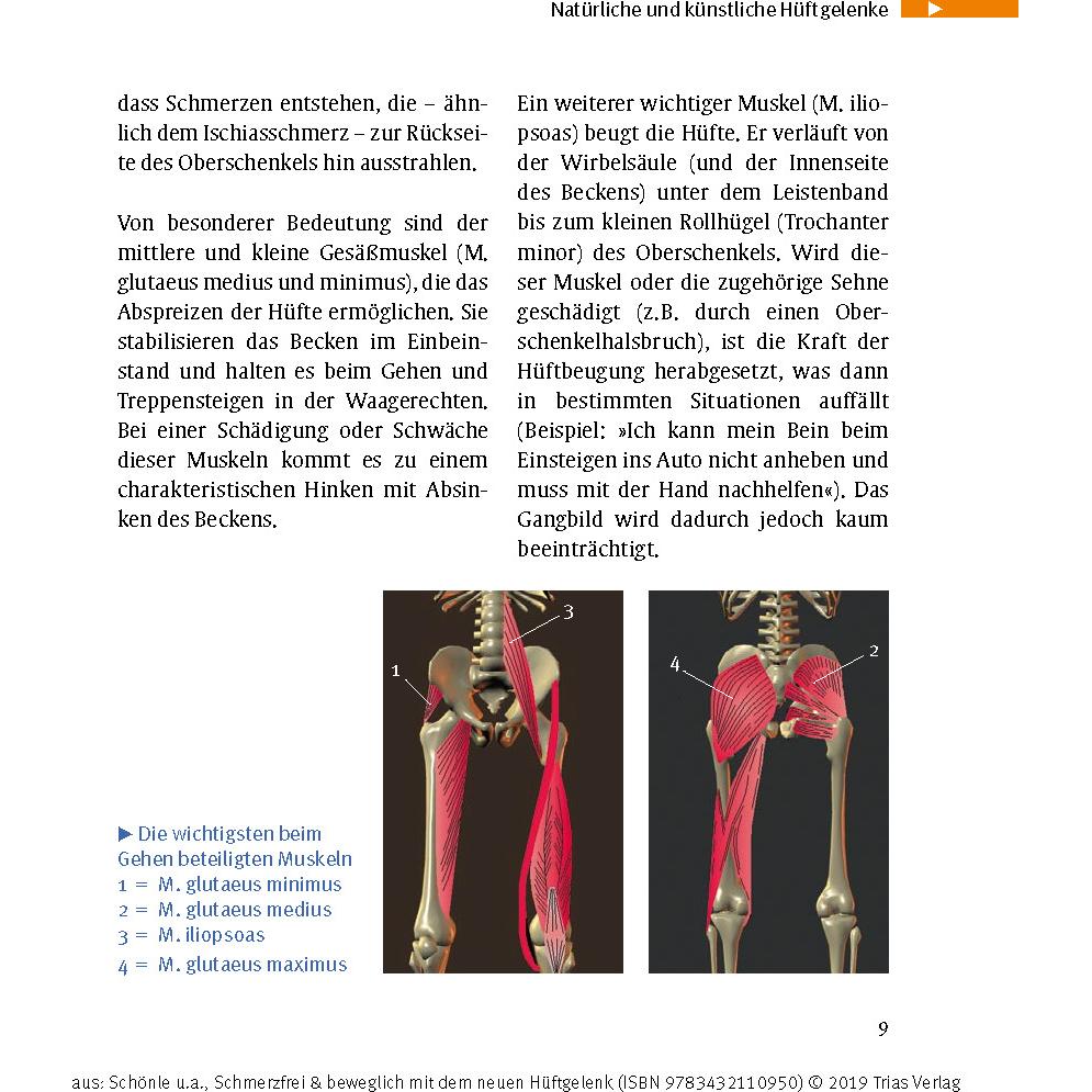 Thumbnail - Schönle:Schmerzfrei & beweglich mit dem, Ratgeber von Silke Rödig, Thomas Heß, Christoph Schönle