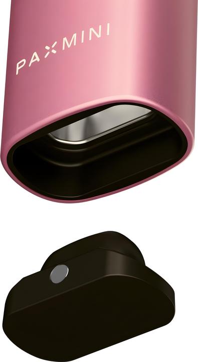 Actual product image Pax Mini 2 Pink Crush (Without taste)