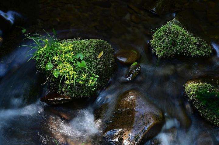 Actual product image Tamron AF 70-300mm F/4.5-6.3 Di III RXD Nikon Z (Nikon Z, full size)