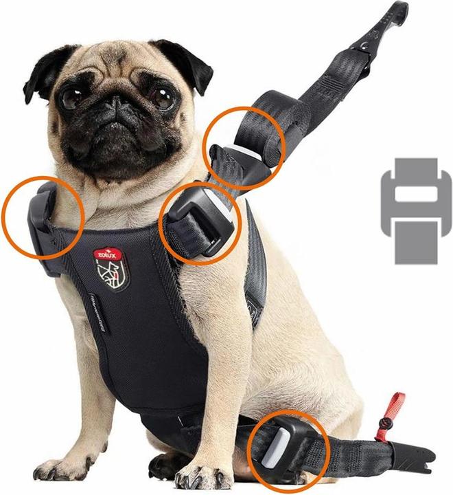 Image du produit Zolux Szelki dla psa TRAVEL SAFE S czerwone (Chien)