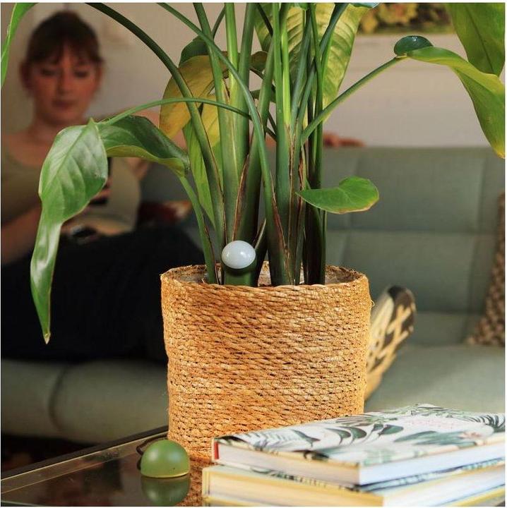 Image du produit FYTA Tropfer-Set WiFi Hub (Kit d'irrigation goutte à goutte)
