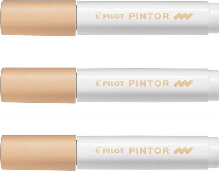 Actual product image Pilot Pintor Medium pastel (1 x)