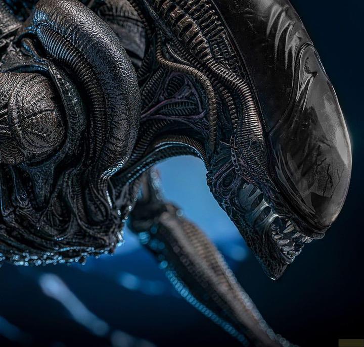 Produktbild Hot Toys Alien: Romulus Movie Masterpiece Actionfigur 1/6 Scorched Xenomorph 44 cm