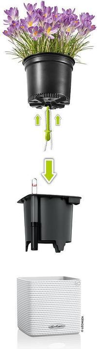 Produktbild Lechuza CUBE Glossy 16 (16 x 16 x 16 cm)