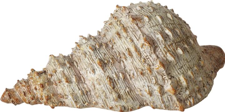 Image du produit Boltze Home Bigo