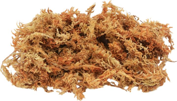 Produktbild Lucky Reptile Terrarienmoos Sphagnum