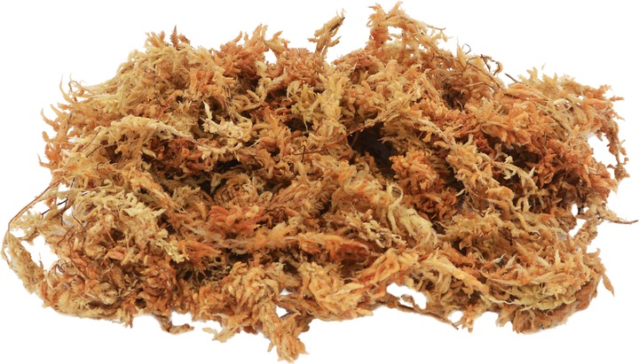 Produktbild Lucky Reptile Terrarienmoos Sphagnum